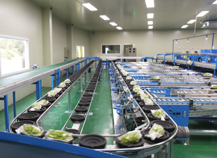대한민국 Fresh Shine Muscat - shinemuscat_partner2.png