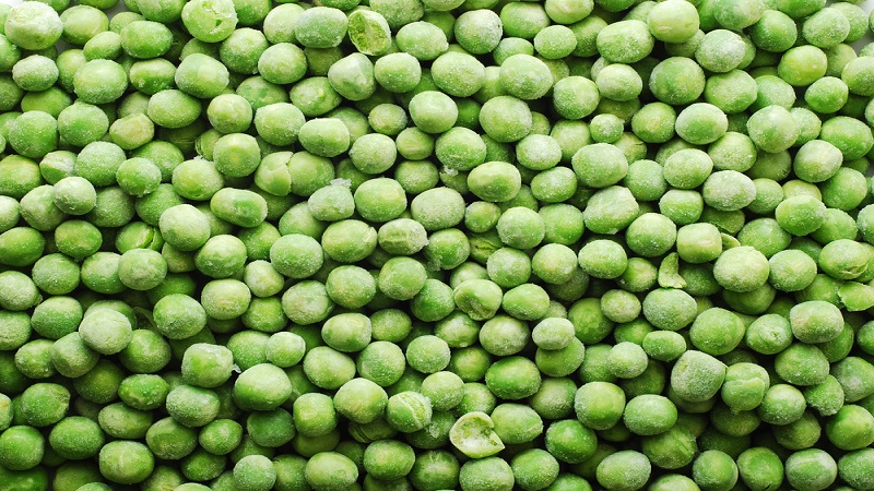 중국 Frozen Common Pea - CN_Greenpeas_Processing1.jpg