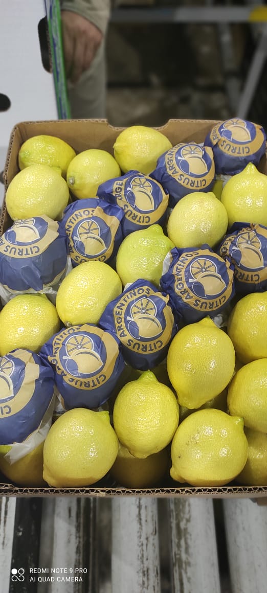 Argentina Fresh Lemon - WhatsApp_Image_2021-06-10_at_10.20.32_PM.jpeg