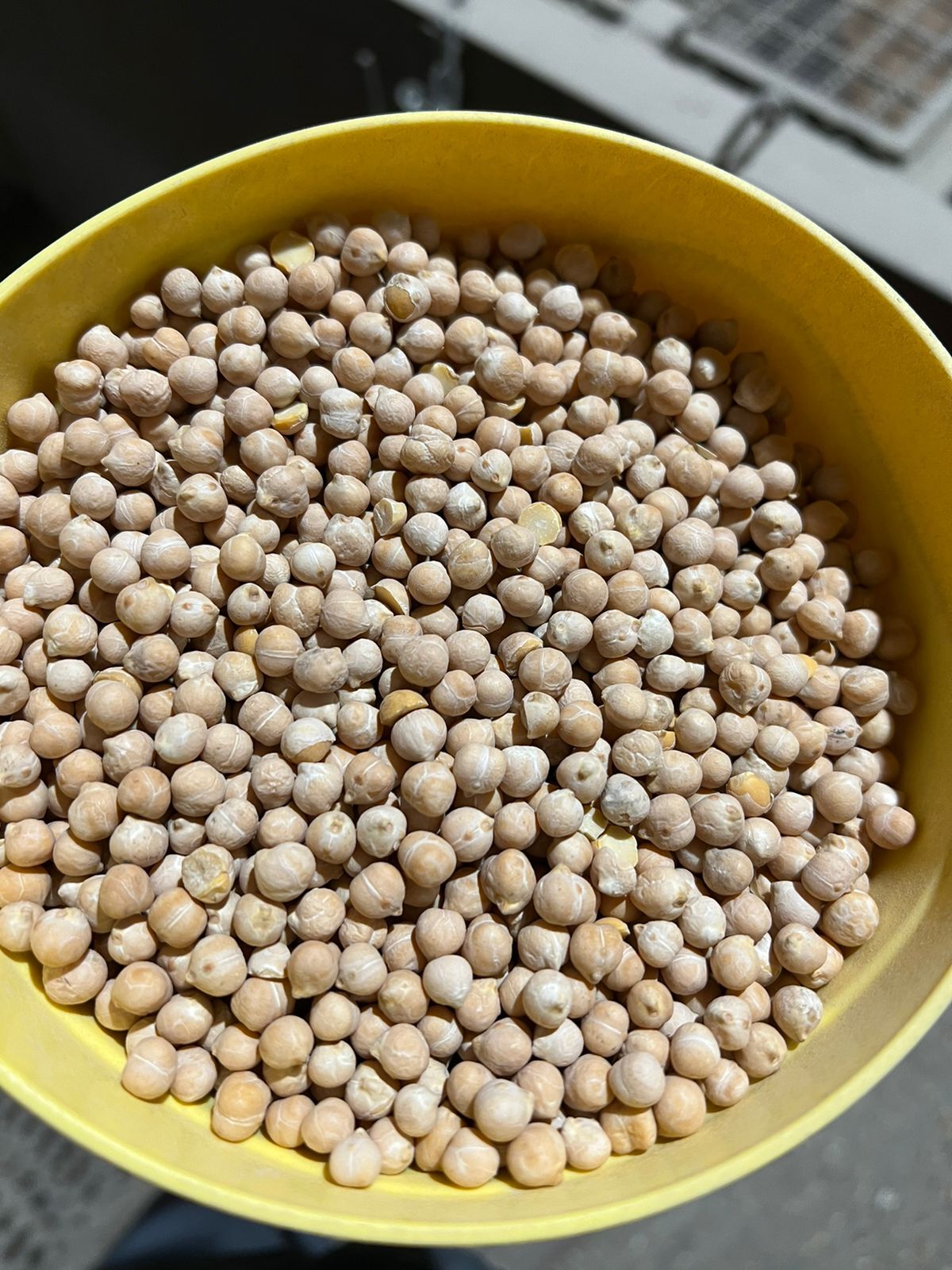 러시아 Dried Chickpea - WhatsApp_Image_2023-10-04_at_12.27.15.jpeg