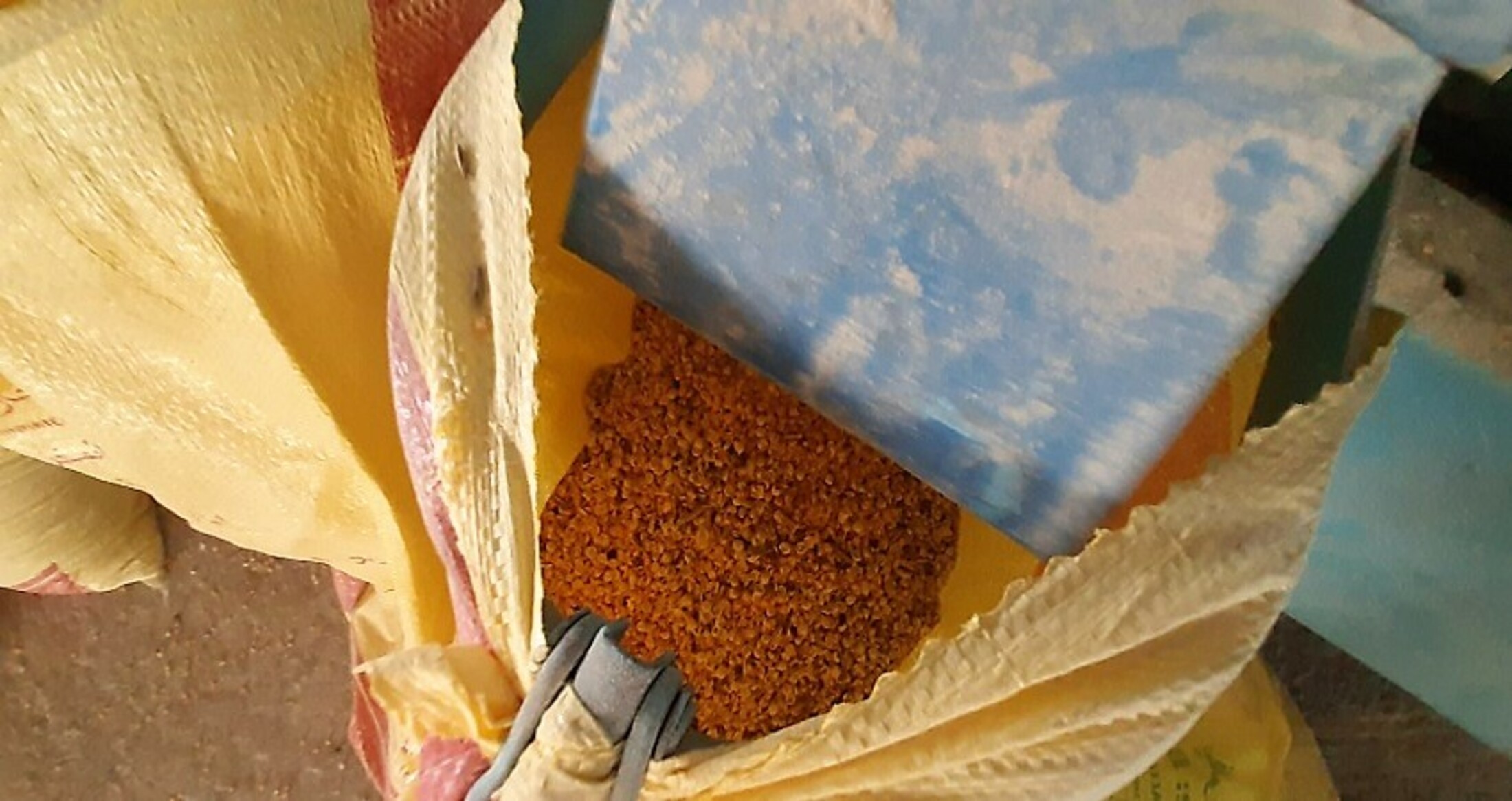 Ukraine Dried Yellow Pea - 20210730_140720_1.jpg