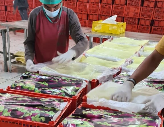 인도네시아 Fresh Mangosteen - Indonesia-Mangosteen-219398.jpeg