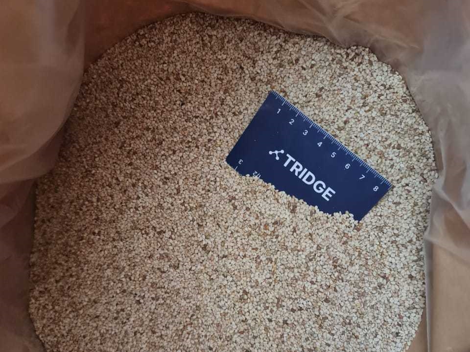 이집트 Sesame Seed - IMG-20211019-WA0013-1.jpg