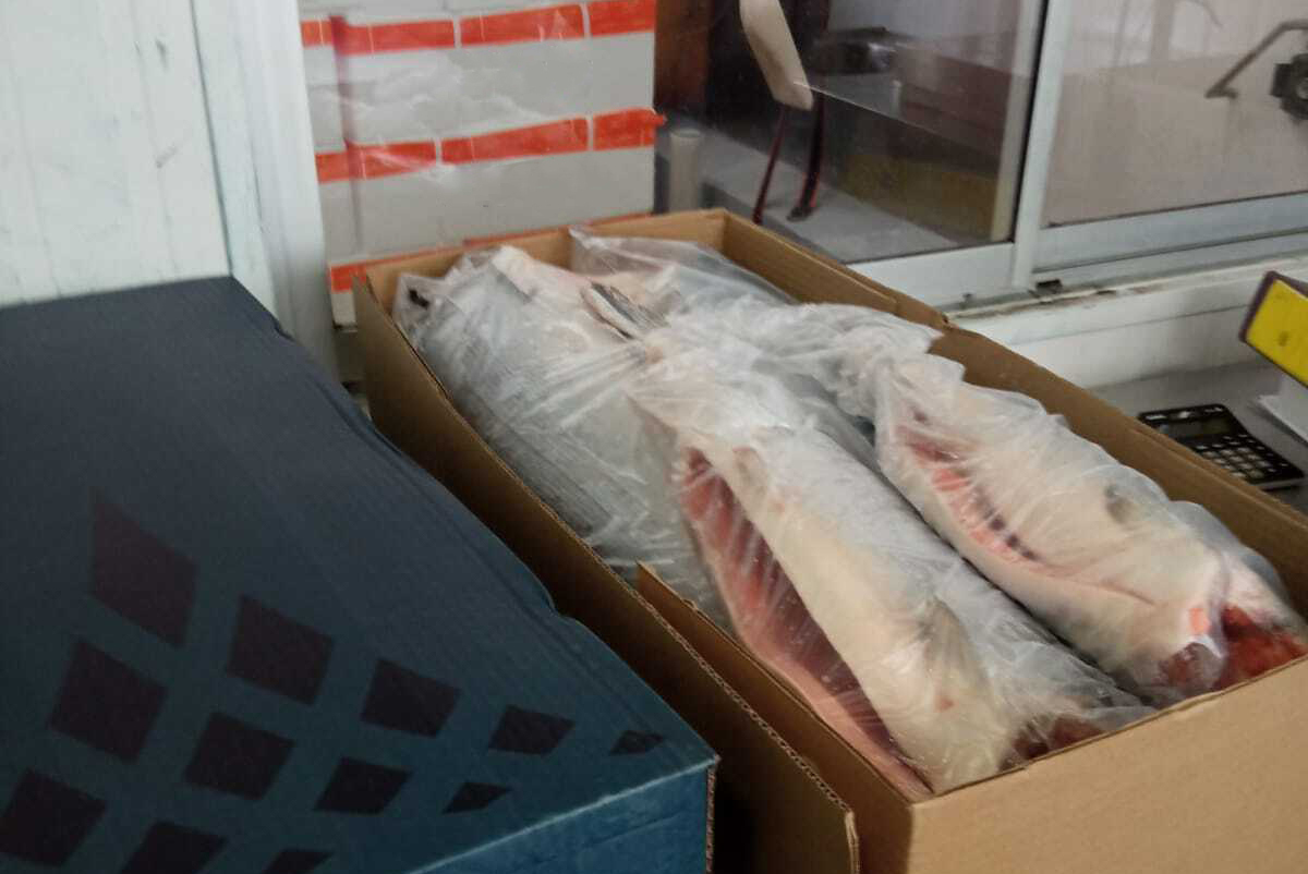 Chile Whole Frozen Coho Salmon - 6F_1.jpg