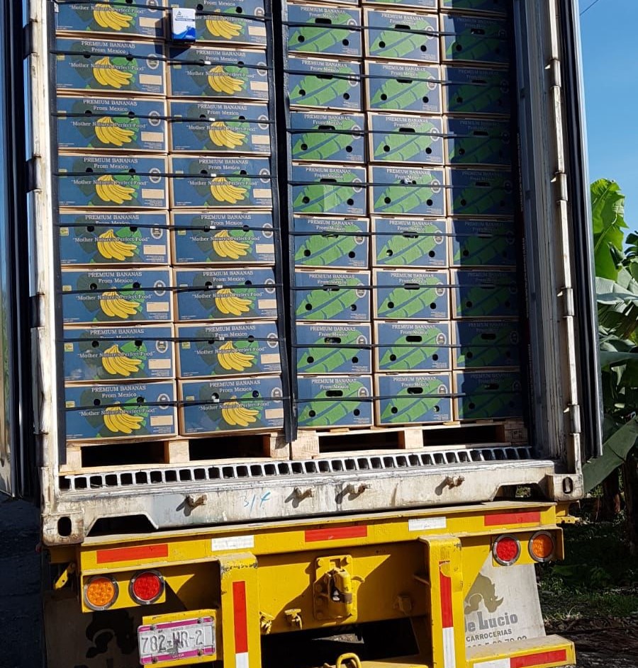 멕시코 Fresh Banana - 5.jpeg