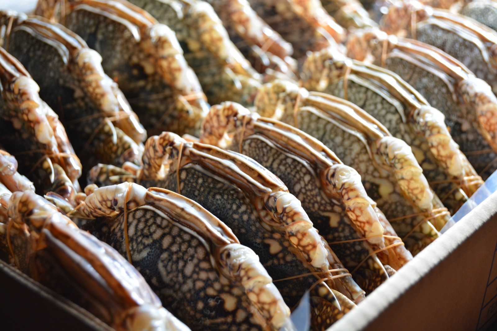 바레인 Frozen Crab - IMG-20230615-WA0011.jpg