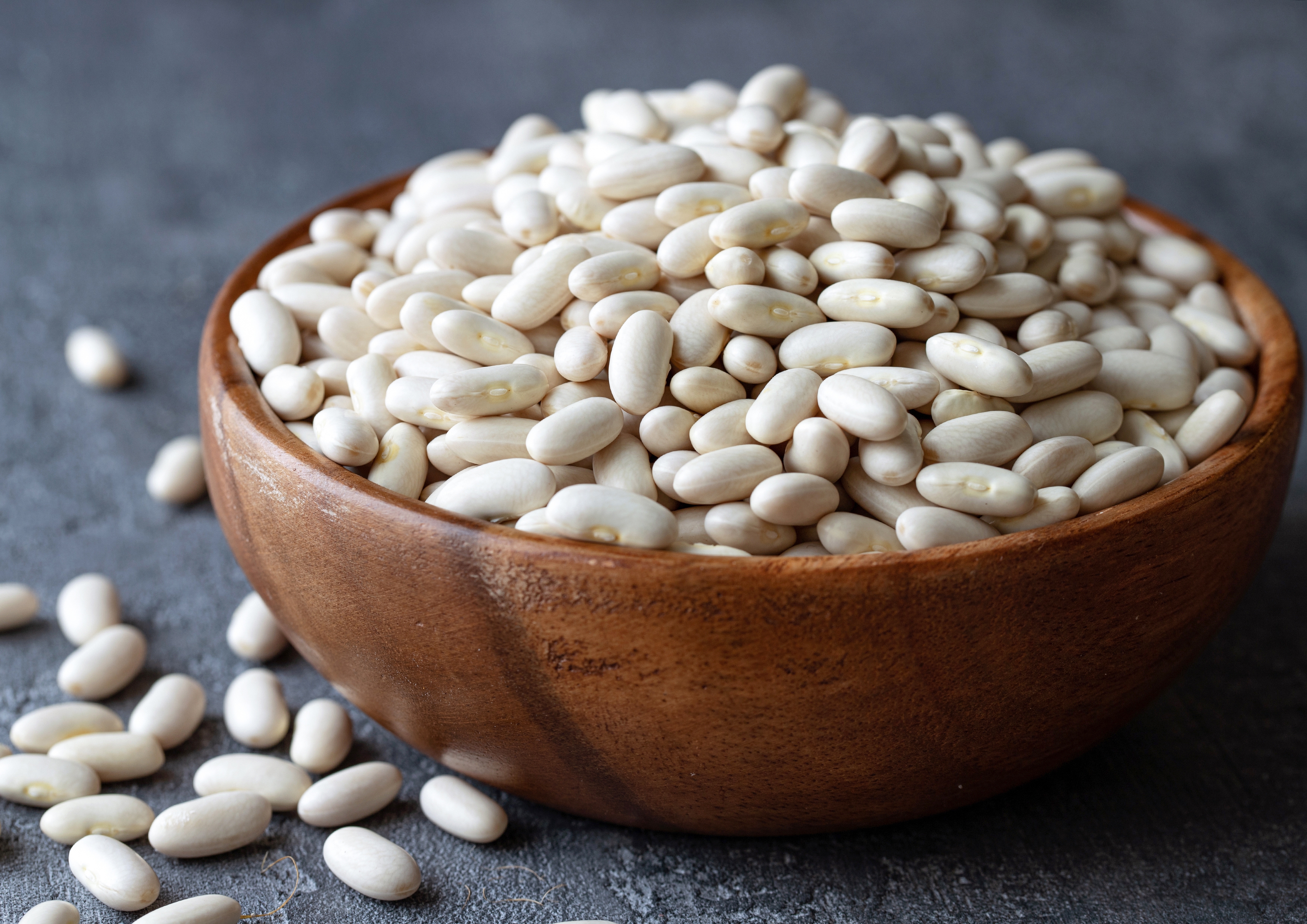아르헨티나 Dried White Beans - shutterstock_2062950308.jpg