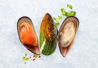 뉴질랜드 Frozen Mussels - mobile-mussels-320-221px_hi.jpg