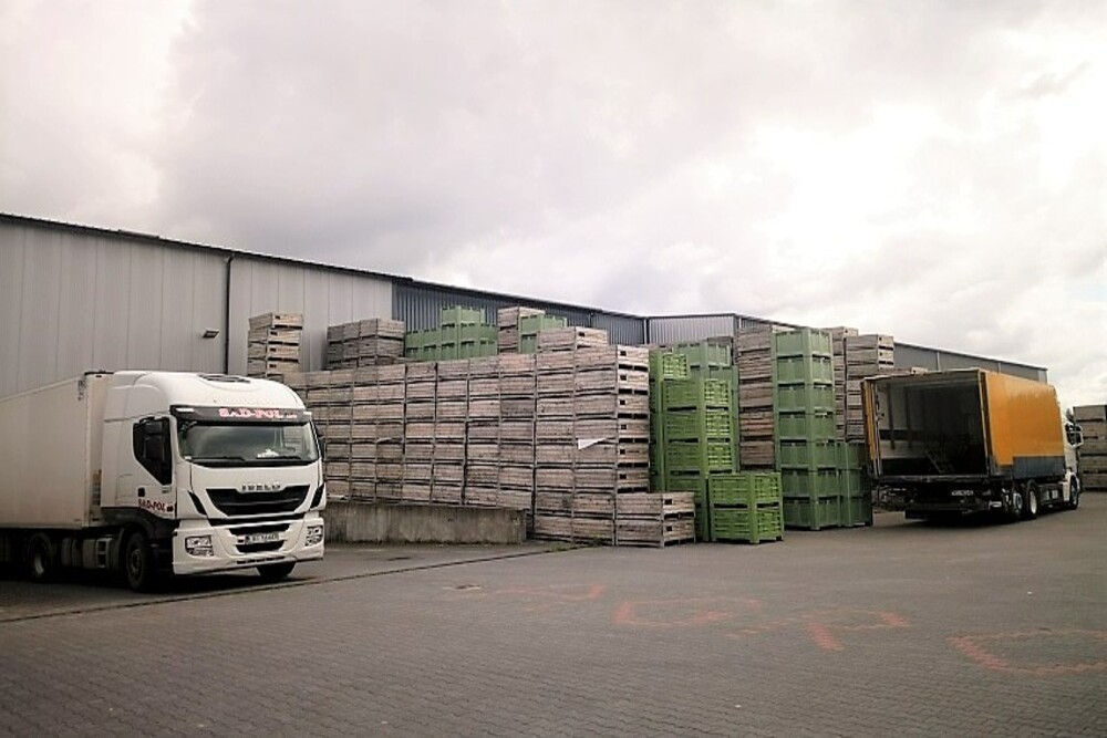 폴란드 Fresh Apple - Empty_storage_boxes_1.jpg