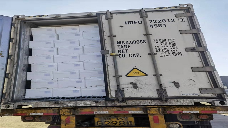 중국 Fresh Headed Broccoli - b19.jpg