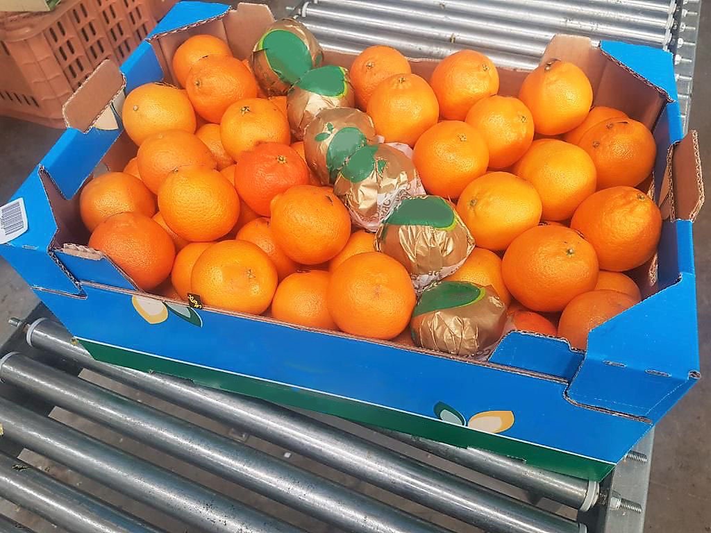 Morocco Fresh Clementine - Morocco-Fresh-Clementine-348716.jpg