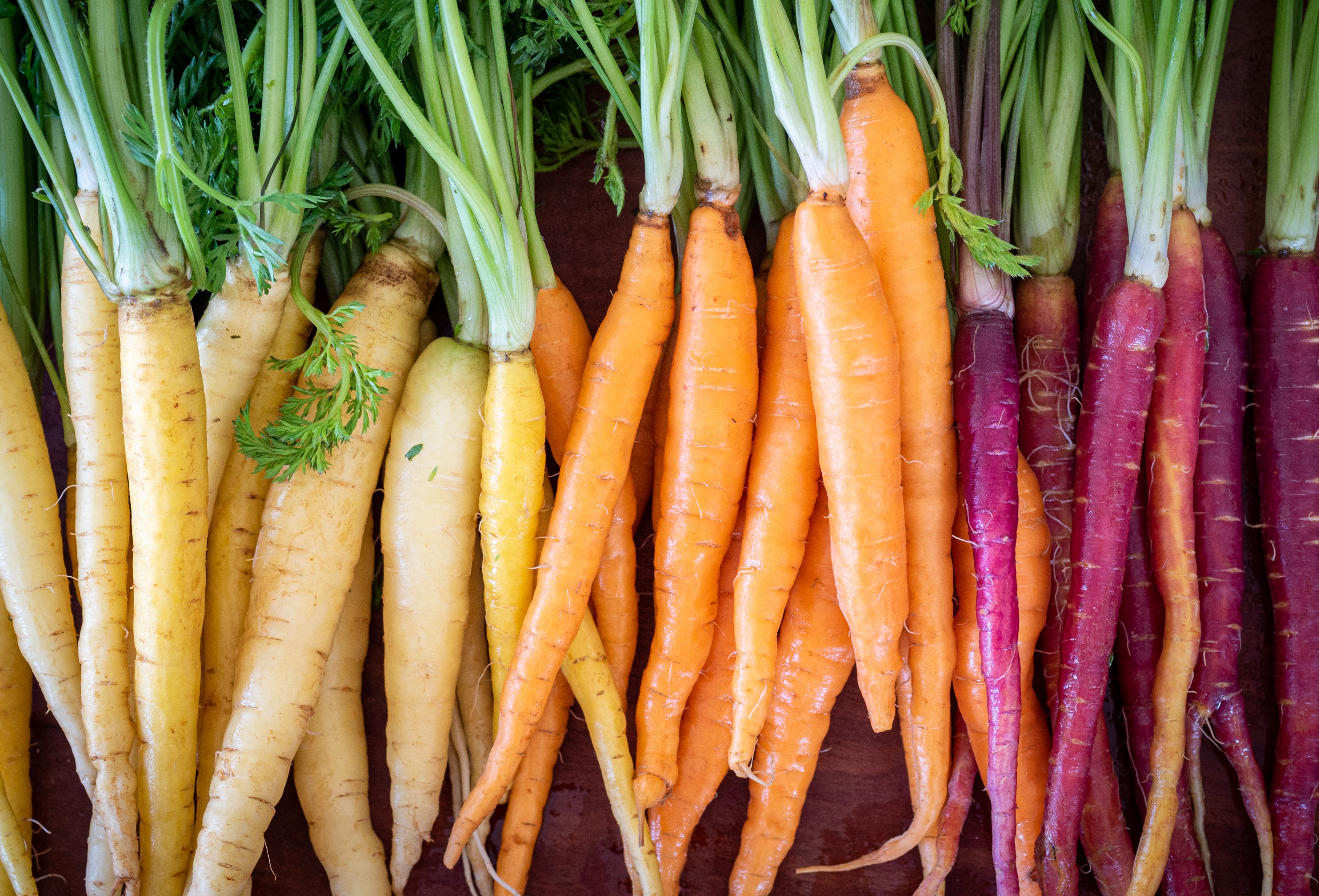 Guatemala Fresh Carrot - shutterstock_1490289479.jpg