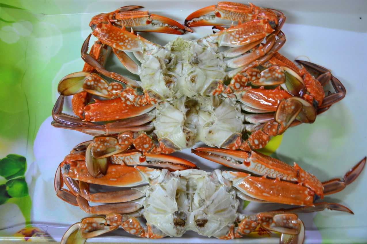 튀니지 Frozen Crab - IMG-20230615-WA0005.jpg