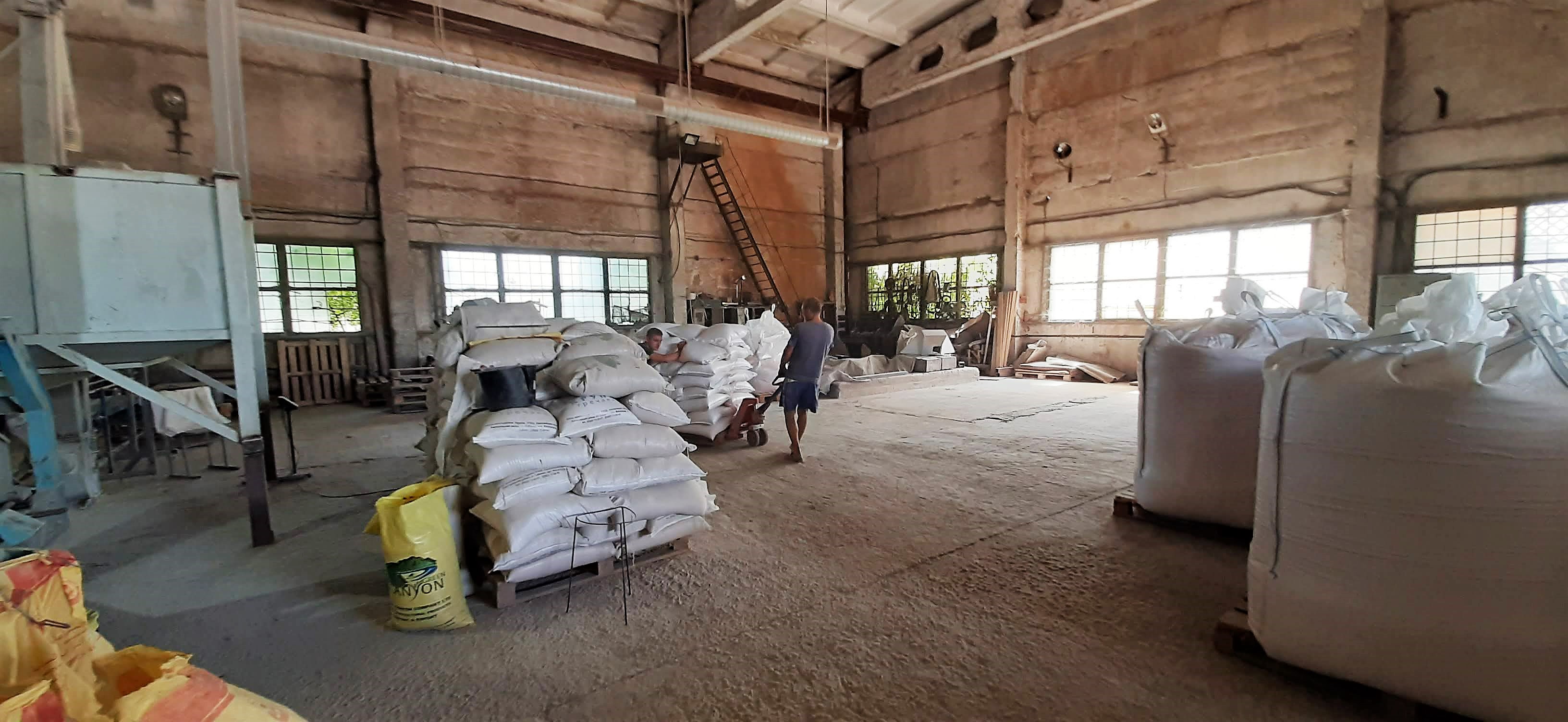 Ukraine Dried Yellow Pea - 20210730_140902.jpg