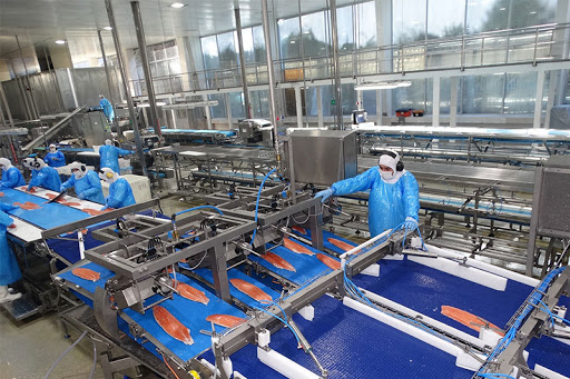 칠레 Frozen Whole Atlantic Salmon - WhatsApp_Image_2020-04-15_at_08.51.57.jpeg