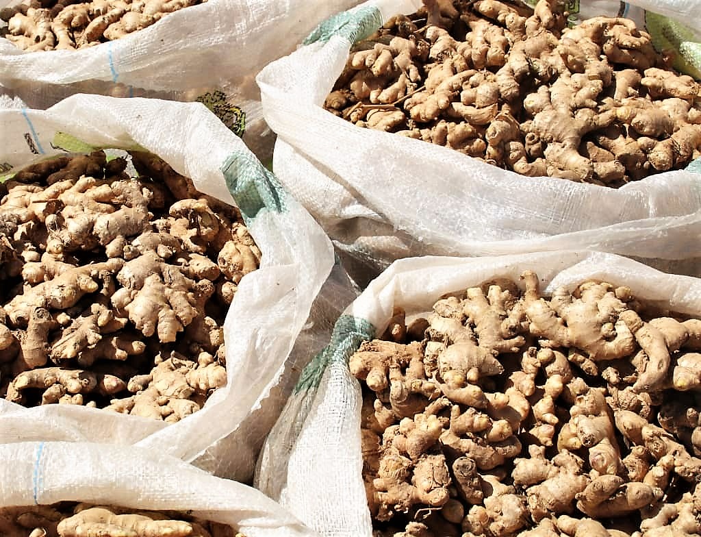 나이지리아 Whole Common Ginger - Nigeria-Whole-Common-Ginger-338416.jpeg