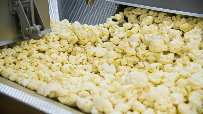 중국 Frozen Cauliflower - CN_Cauliflower_processing1.jpg