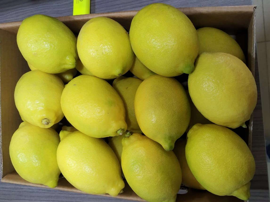 Egypt Fresh Lemon - Egypt-Fresh-Lemon-649457.jpeg