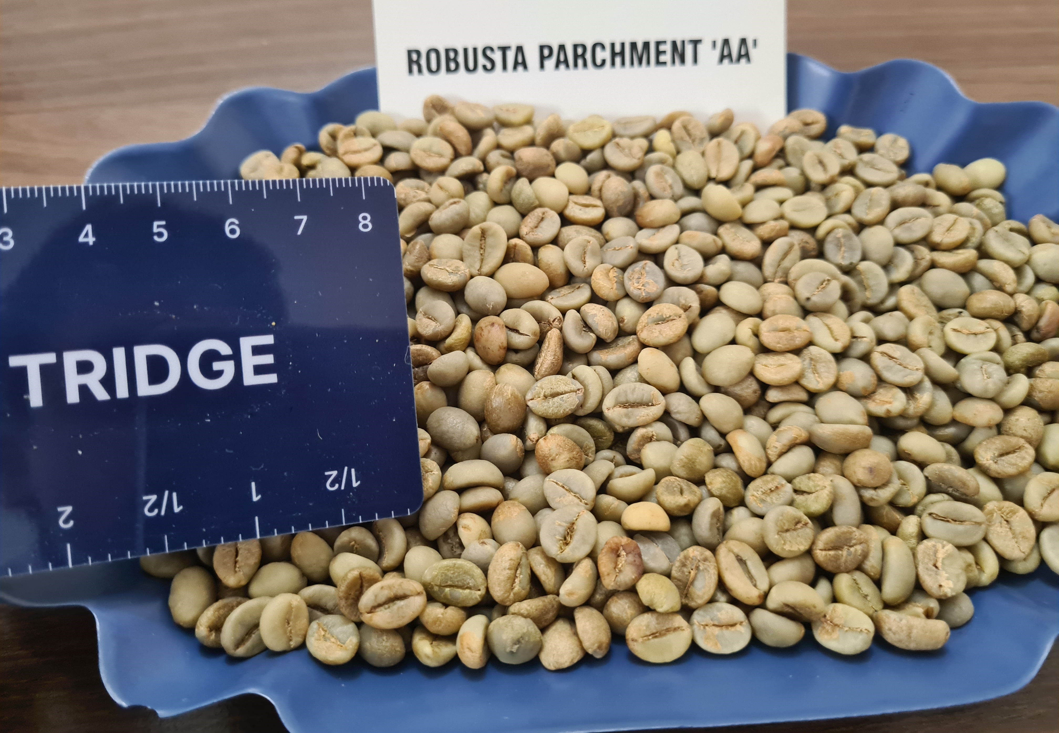 인도 Raw Common Coffee Bean - Robusta_Parchment_AA.jpg