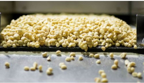 Australia Macadamia Kernel - processing1.jpg