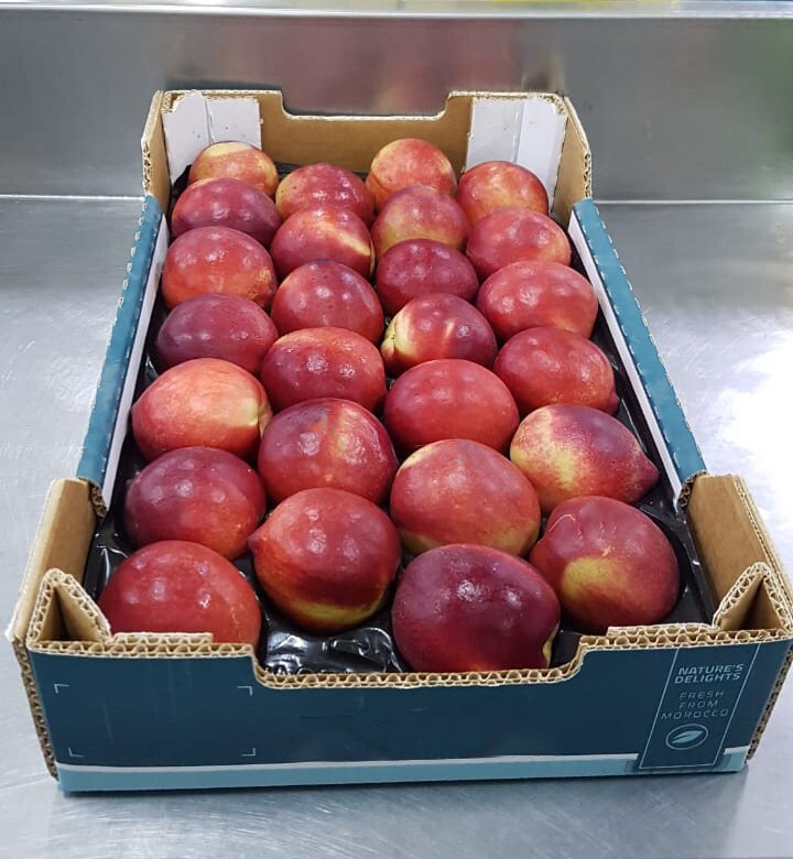 모로코 Fresh Nectarine - WhatsApp_Image_2021-06-10_at_7.03.16_PM_edit.jpg