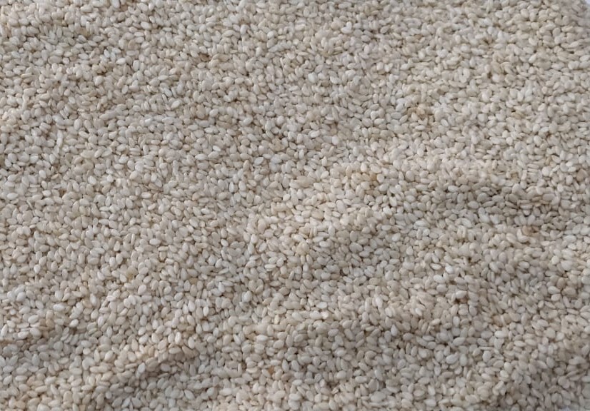 파키스탄 Sesame Seed - 0aa2b829-0235-4766-bcd1-df7aa36beb32.jpg