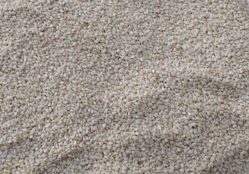 Pakistan Sesame Seed - 0aa2b829-0235-4766-bcd1-df7aa36beb32.jpg