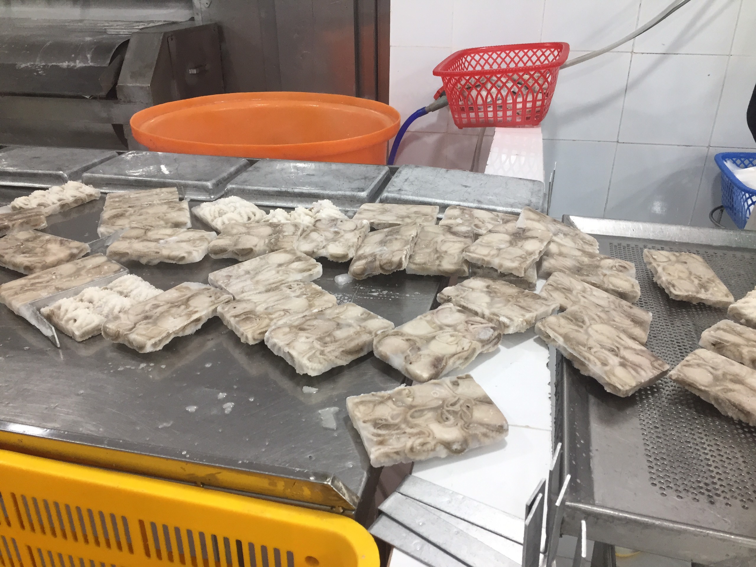 베트남 Frozen Octopus - Vietnam-Frozen-Octopus-238451.jpg