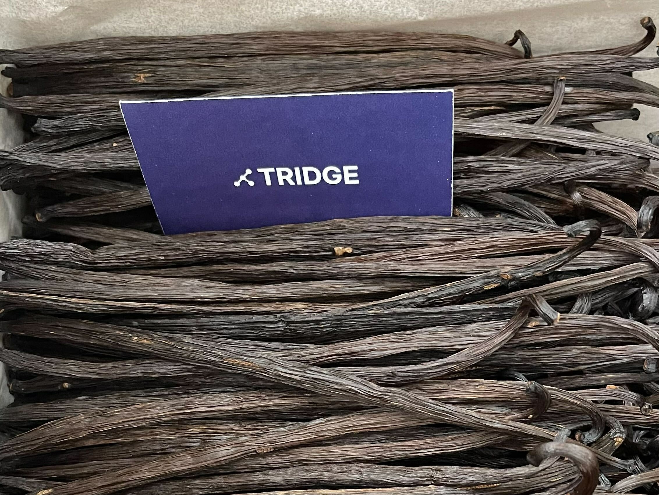 인도네시아 Vanilla - Image_from_iOS_24.jpg