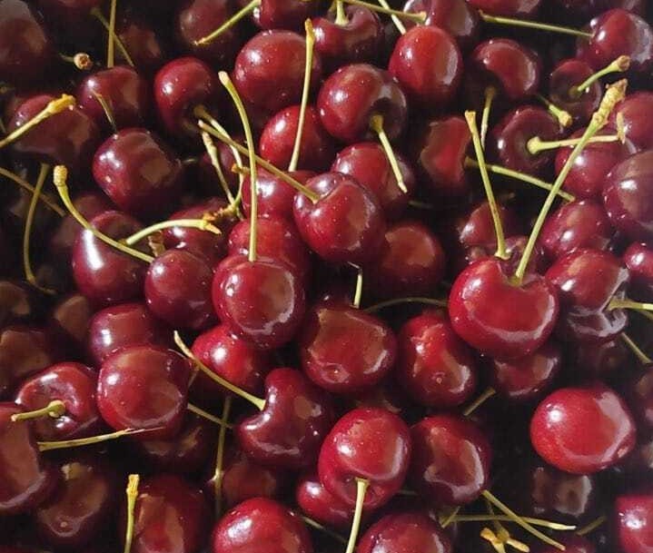 캐나다 Fresh Sweet Cherry - WhatsApp_Image_2021-07-16_at_10.46.50_AM_1.jpeg