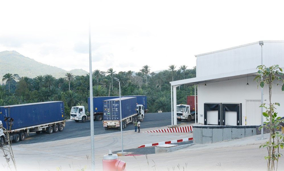 카메룬 Cocoa Butter - 11.jpg