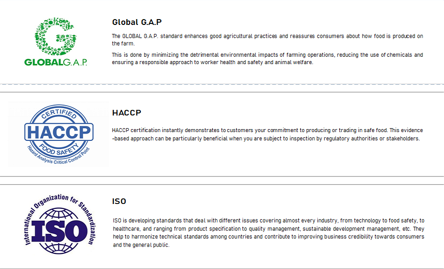 Thailand Fresh Mango - Mango_Certifications.png