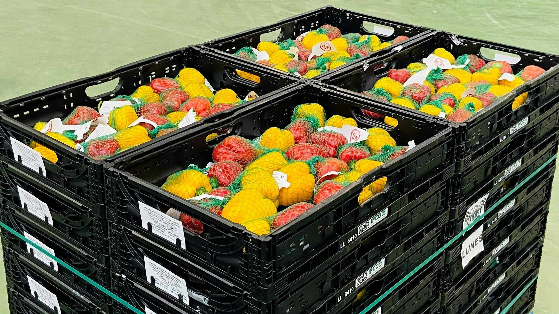 Spain Fresh Bell Pepper - IMG_9773_2_4.jpg