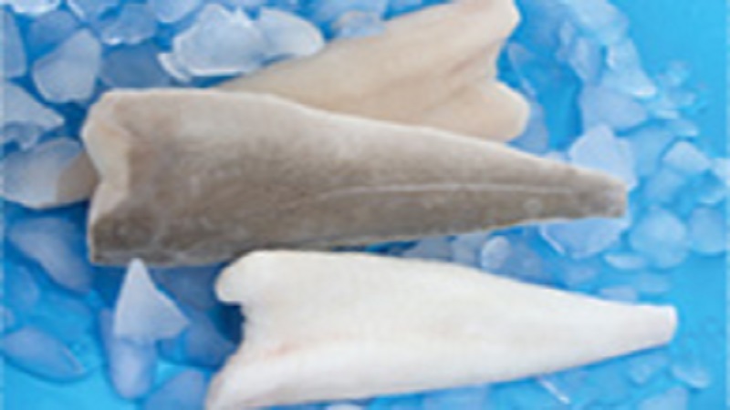 중국 Frozen Cod Fillet - CN_Cod_atlantic.jpg