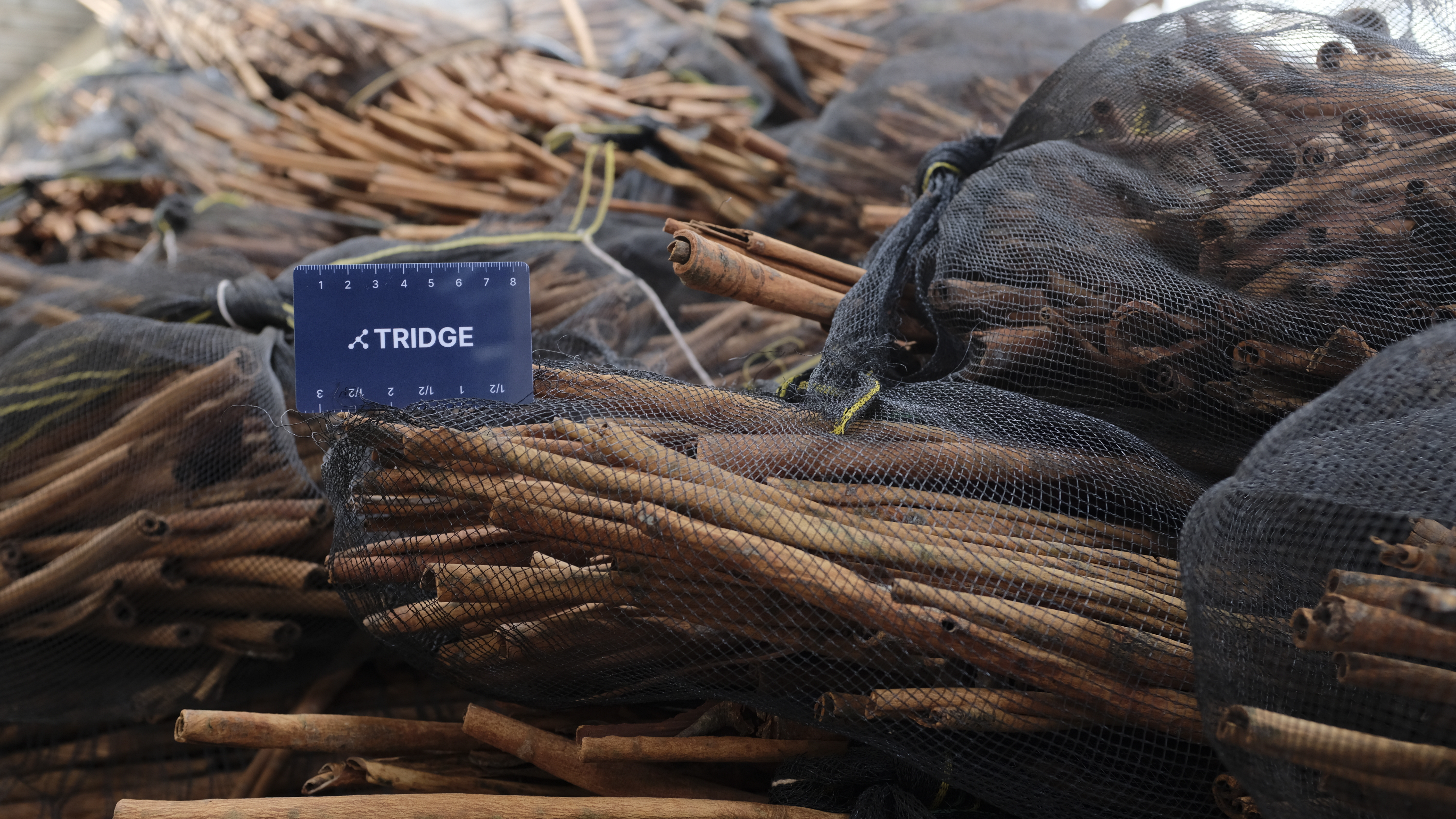 Indonesia Whole Common Cinnamon - packing_1.jpg