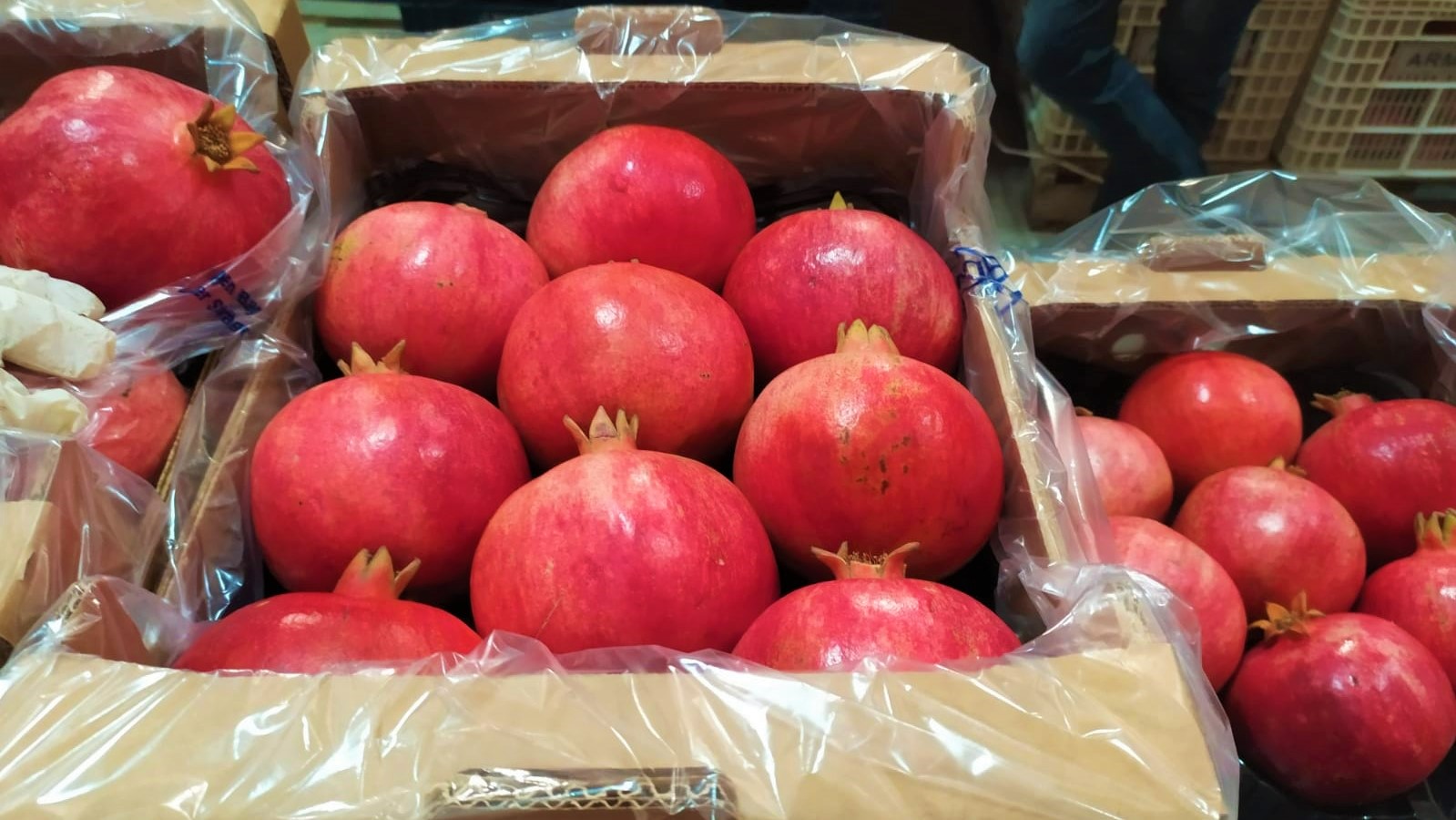 Turkiye Fresh Pomegranate - pomegranate_3.jpeg