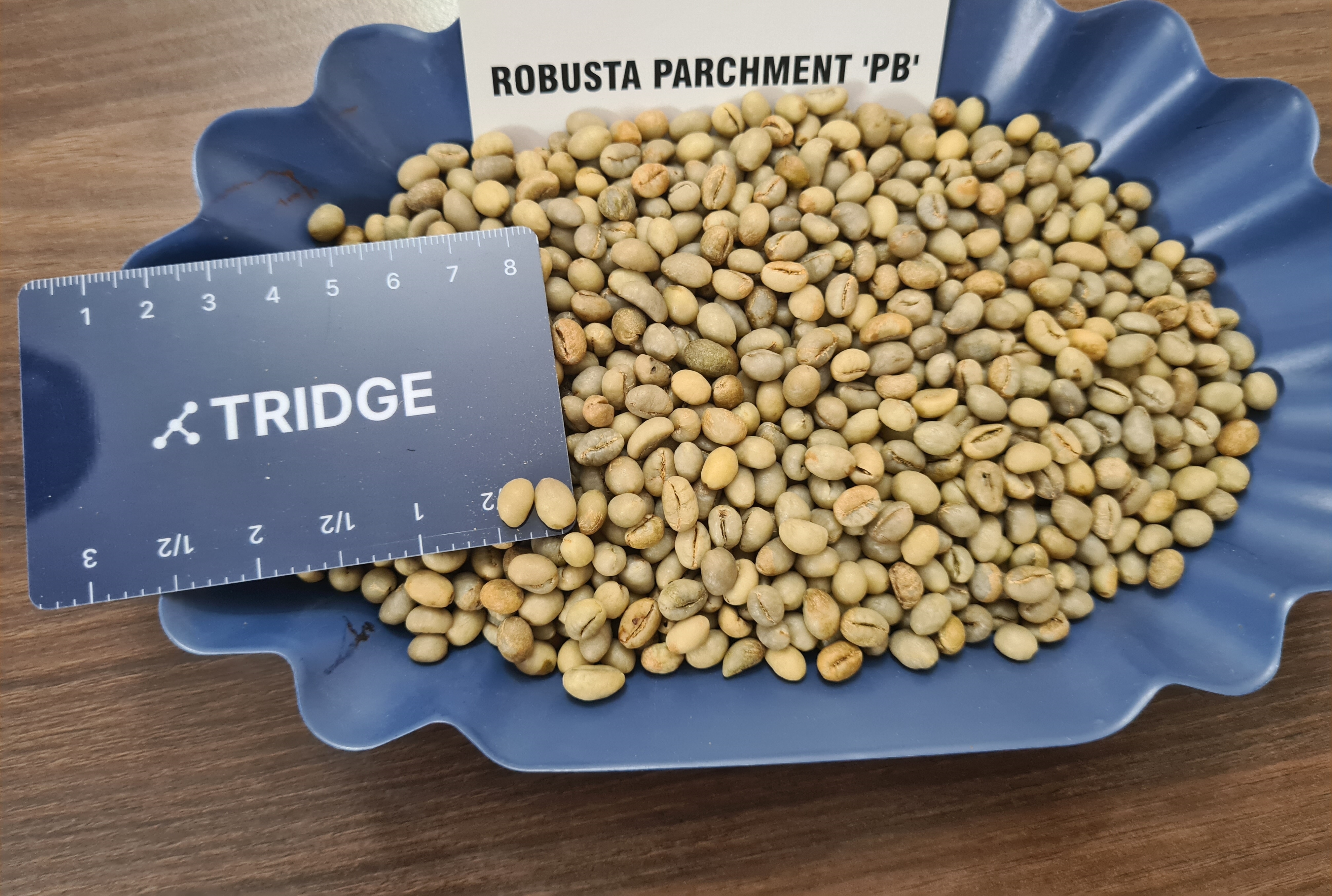 인도 Raw Common Coffee Bean - Robusta_Parchment_PB.jpg