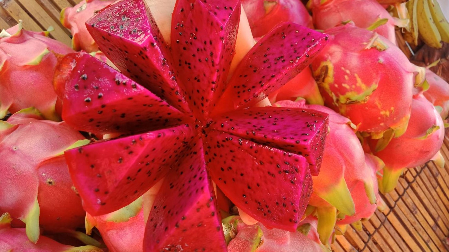태국 Fresh Dragon Fruit - Thailand-Dragon-Fruit-723610.jpeg