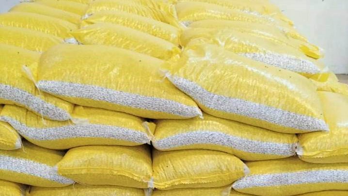 이집트 Dried White Beans - Egypt_-_Dried_White_Beans123.jpeg