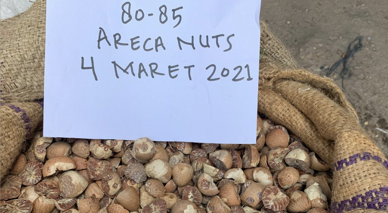 Indonesia Areca Nut - Screen_Shot_2021-03-06_at_1.42.56_PM.png