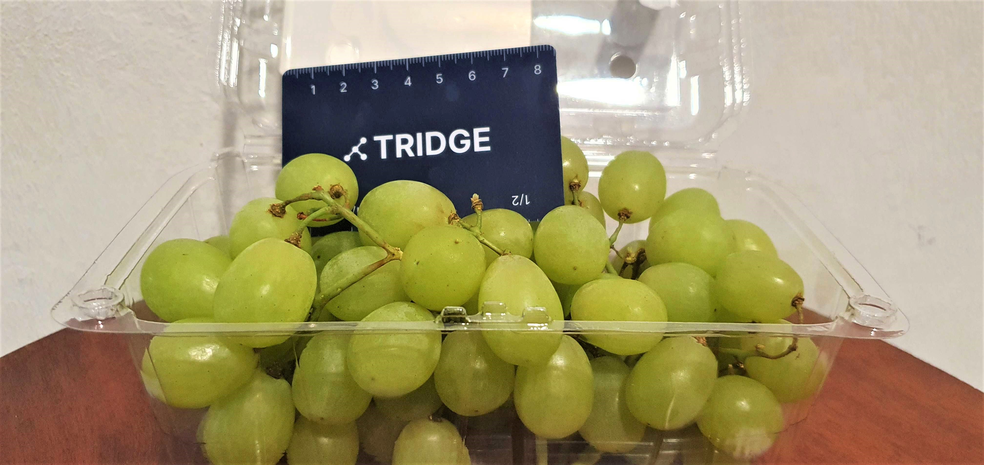 남아프리카공화국 Fresh Table Grape - 20211120_153753.jpg