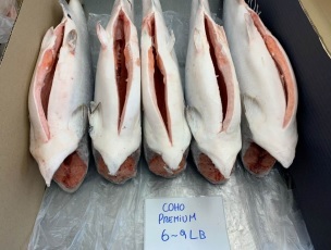 Chile Whole Frozen Coho Salmon - coho_salmon_premium_6-9lbs.jpg