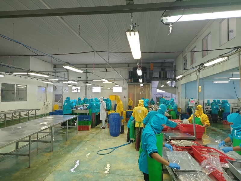 인도네시아 Frozen Octopus - IMG20220928110724.jpg