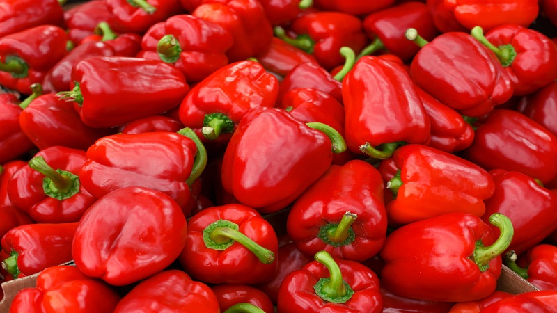 중국 Frozen Bell Pepper - CN_Bellpepper_Red.jpg