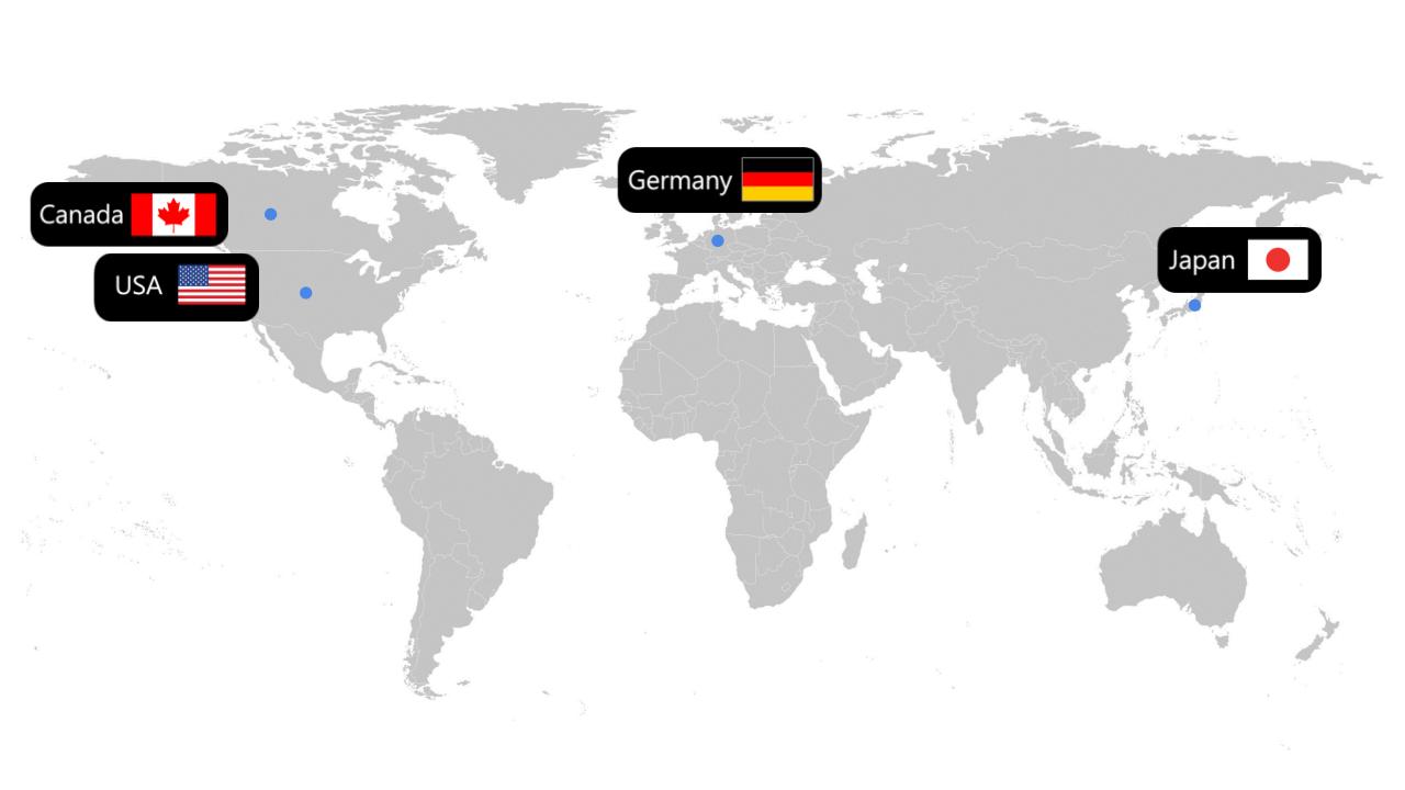 에콰도르 IQF Chopped Kale - Export_30.jpg