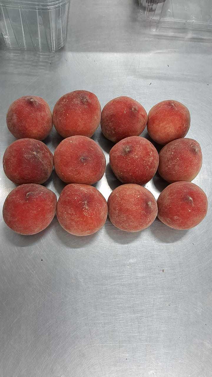 Morocco Fresh Peach - IMG-20210614-WA0000.jpg