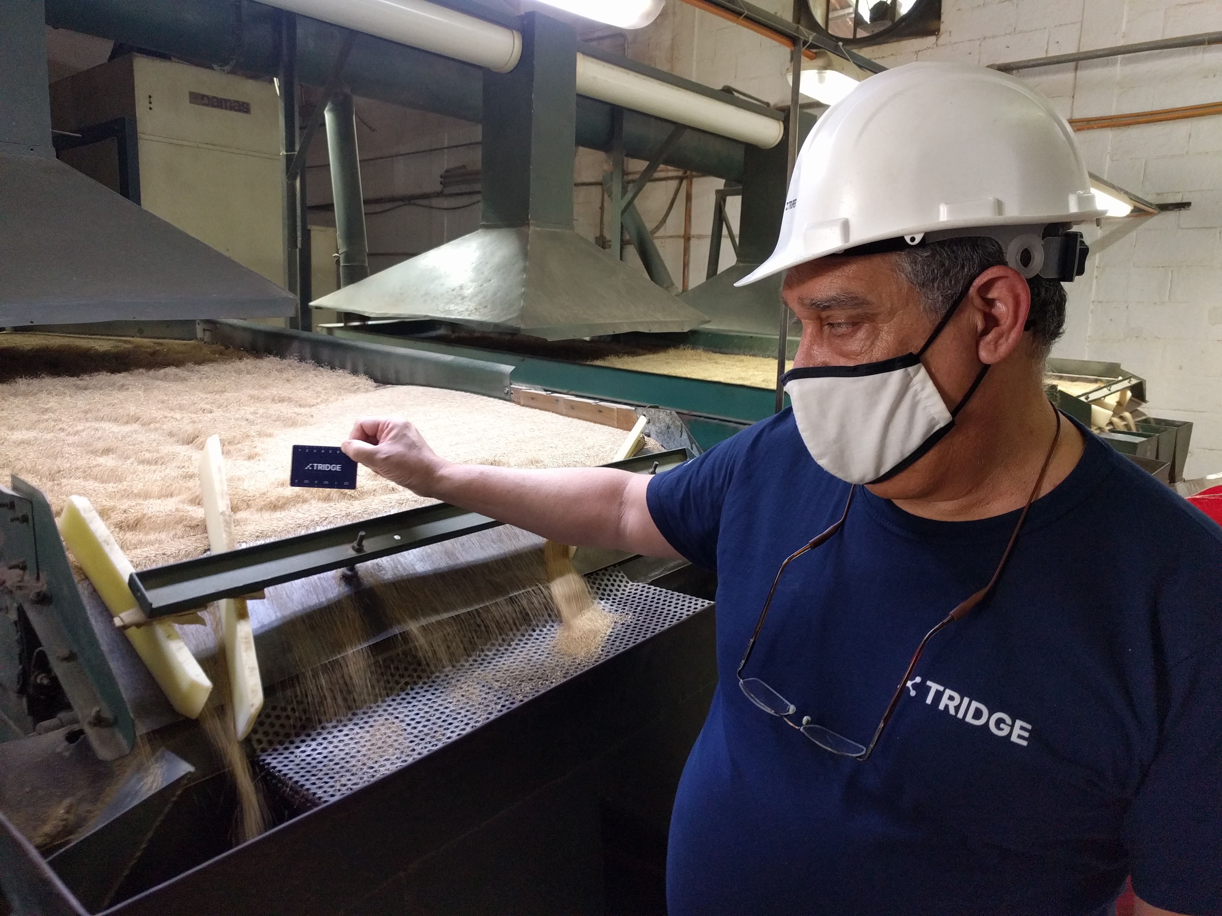 과테말라 Sesame Seed - Density_Separation_2.jpg