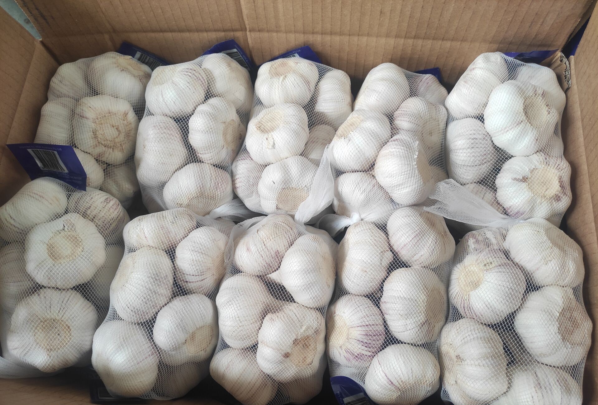 Fresh Common Garlic Offers From China Tridge