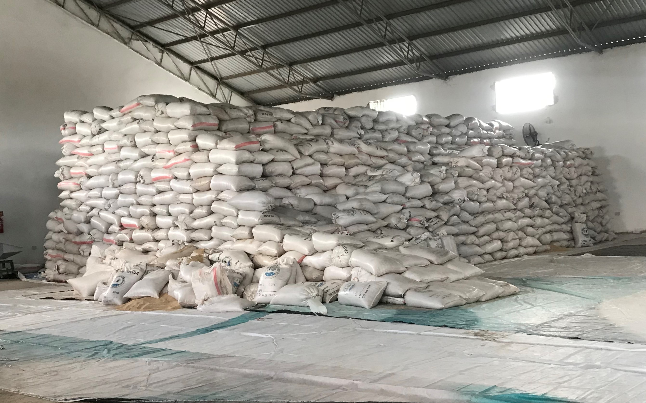 Tanzania Sesame Seed - IMG_9877.jpg