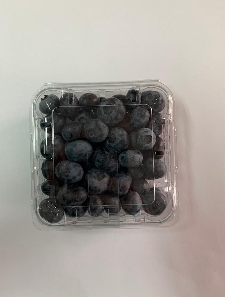 Chile Fresh Blueberry - PHOTO-2021-01-12-11-16-43.jpg